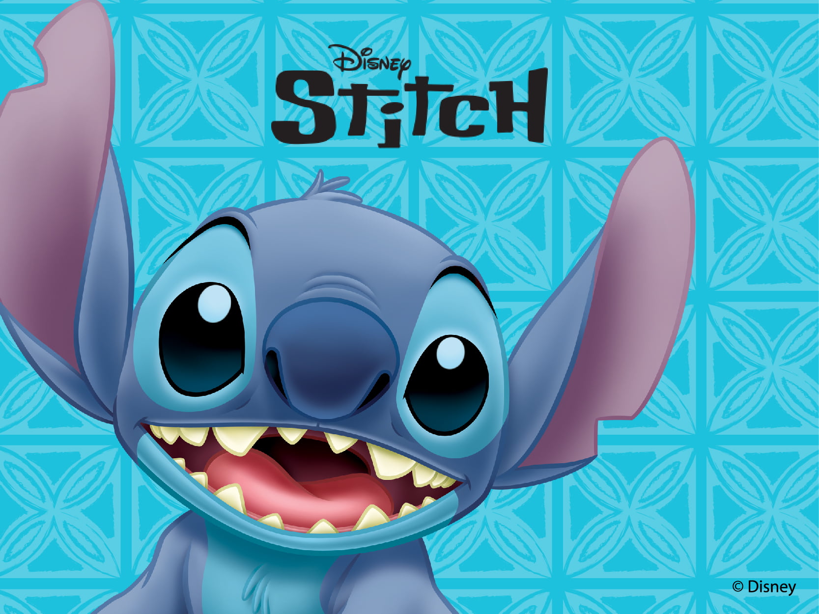 800x600-STITCH
